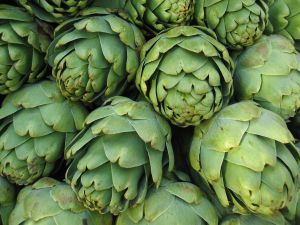 artichoke ; globe artichoke