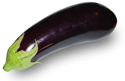 eggplant ; aubergine