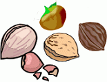 nut.gif
