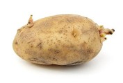 potato2.jpg